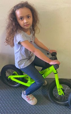 Sebastopol Bike Center by null