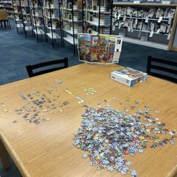 Dunedin Public Library - You can help finish the puzzle