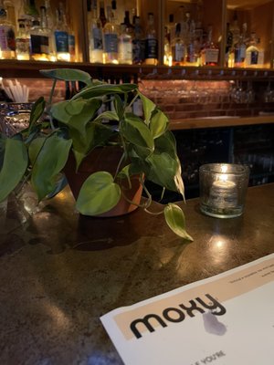 Moxy by null