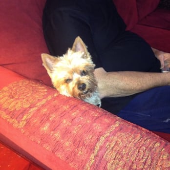 Happy Pets Sitting Services - Pet Sitting Near Me - Seaside, California Happy Pets Sitting Services - Pet Sitting Near Me - Seaside, California