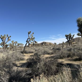 Joshua Tree National Park - Parks Near Me - Joshua Tree, California Joshua Tree National Park - Parks Near Me - Joshua Tree, California