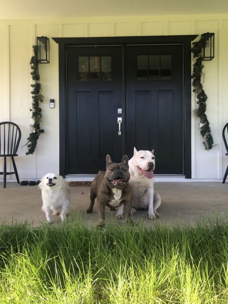 FARMHOUSE DOG BOARDING Request Information 87448 Hakimo Rd