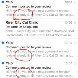 The flurry of responses we've received from the Vet The flurry of responses we've received from the Vet