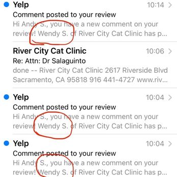 River City Cat Clinic - The flurry of responses we've received from the Vet - Veterinarians Near Me - Sacramento, California River City Cat Clinic - The flurry of responses we've received from the Vet - Veterinarians Near Me - Sacramento, California