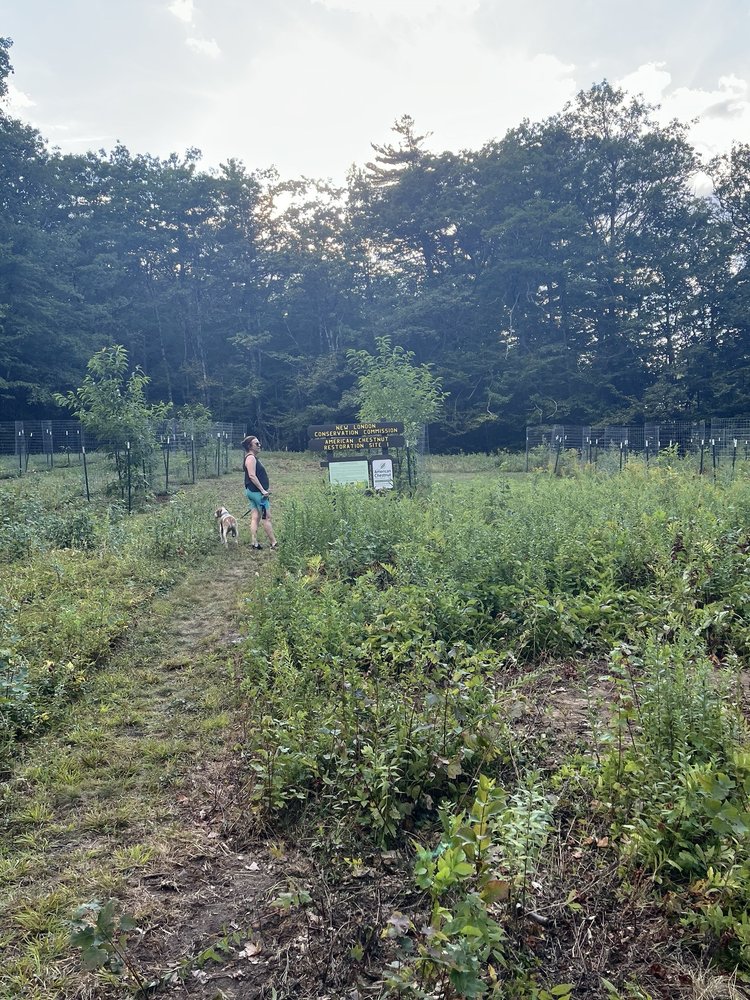 Social spots from Clark Lookout Trail