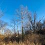 Photo of White Lick Creek Trail