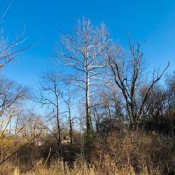 White Lick Creek Trail