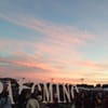 Festival Palomino gift card