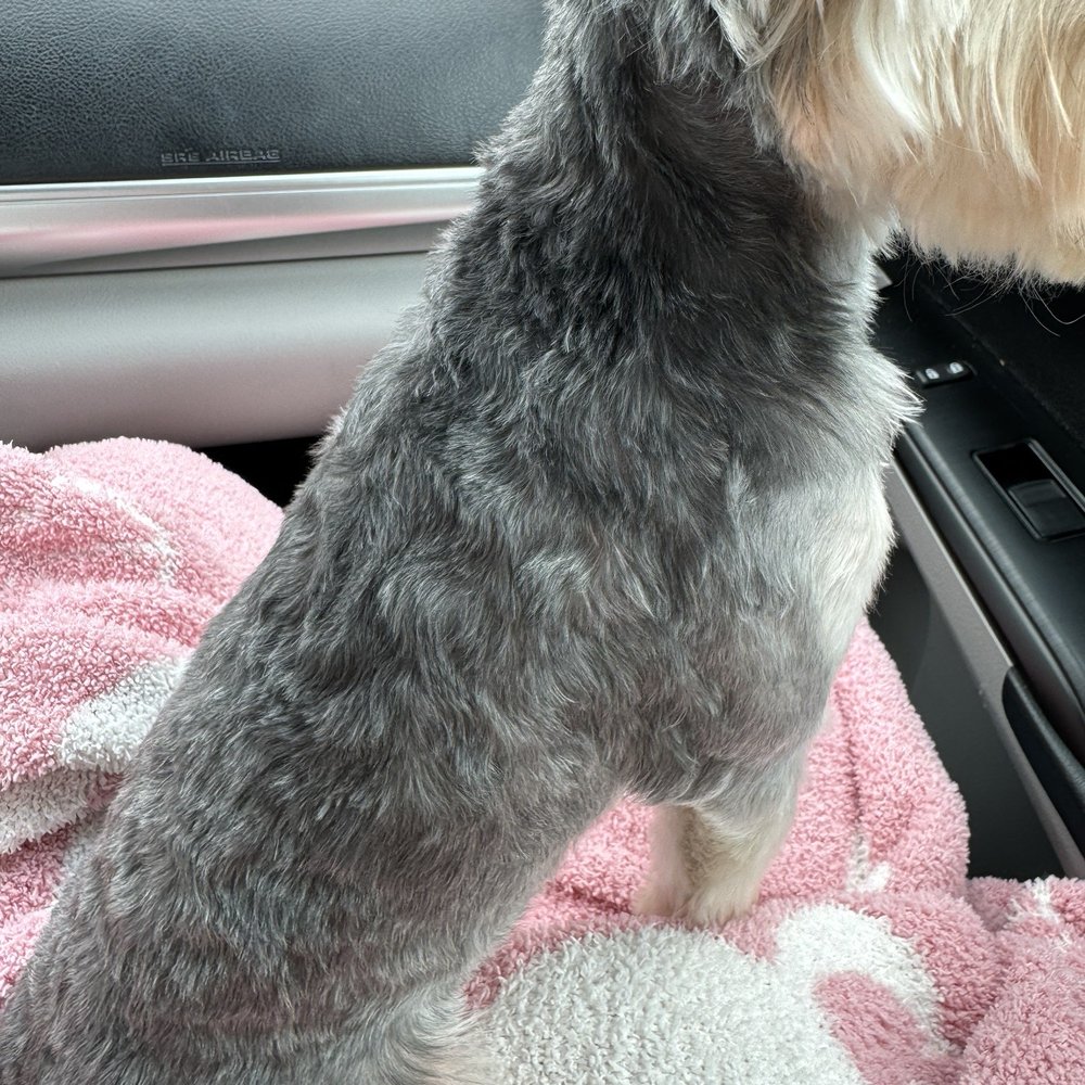 PetSmart - his after. - Pet Stores Near Me - Rohnert Park, California PetSmart - his after. - Pet Stores Near Me - Rohnert Park, California