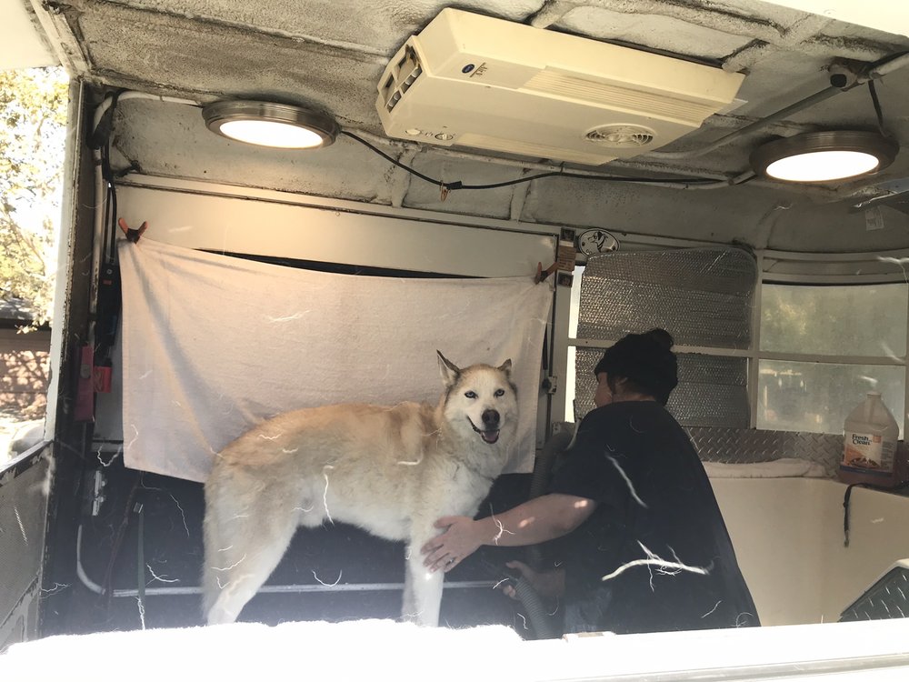 DOGS BEST FRIEND MOBILE GROOMING 77 Photos & 13 Reviews Woodland, California Pet Groomers