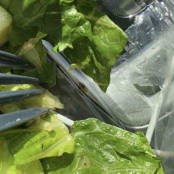 Chick-fil-A - Bug in my Market Salad. - Fast Food Near Me - Glendora, California