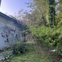 Photo of Daugherty Tree Service
