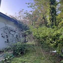 Daugherty Tree Service - Storm damage tree