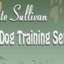 Photo of Kate Sullivan Pet Dog Training Services