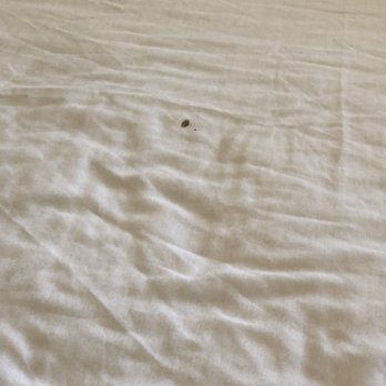 Budget Motel - Stain on the sheet. - Hotels Near Me - Delta, Utah