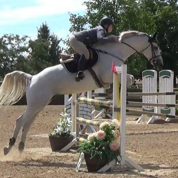 Perrien Farms - Horseback Riding Near Me - Turlock, California