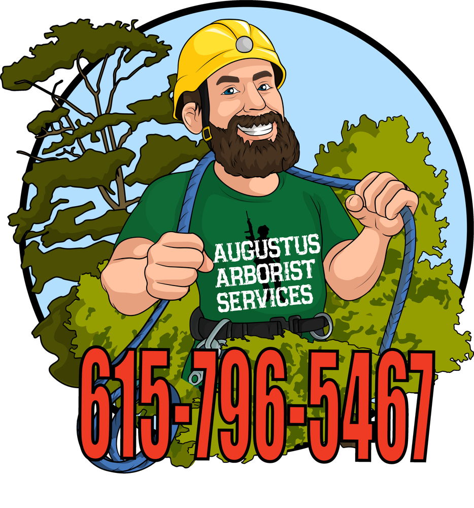 Augustus Arborist Services - tree service in Goodlettsville, TN