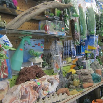 Marta's PET SHOP - Pet Stores Near Me - Toronto, Ontario