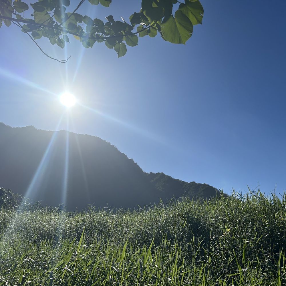 Kahana Adventures - Rafting/Kayaking Near Me - Hauula, Hawaii
