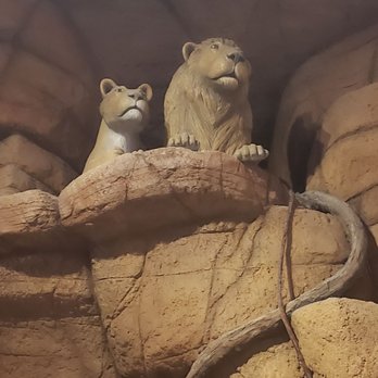 Kalahari - Resorts Near Me - Pocono Manor, Pennsylvania Kalahari - Resorts Near Me - Pocono Manor, Pennsylvania