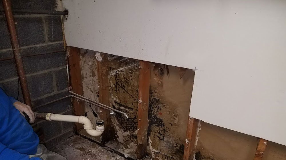 ECODRY WATERPROOFING Updated September 2024 13 Photos 26