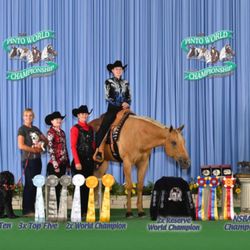 Kb Performance Horses