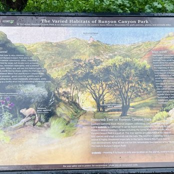 Runyon Canyon Park - One of several information signs, new this past fall - Dog Parks Near Me - Los Angeles, California Runyon Canyon Park - One of several information signs, new this past fall - Dog Parks Near Me - Los Angeles, California