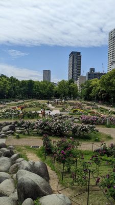 Utsubo Park by null