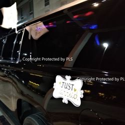 Houston & Katy Limo Transportation - Just married Limo sign on their private black car service!