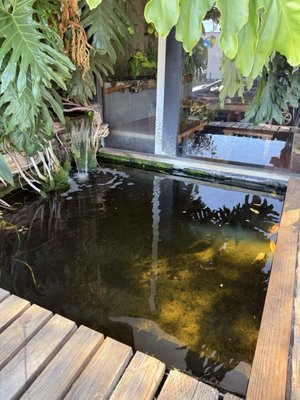 55 Thai Kitchen by null