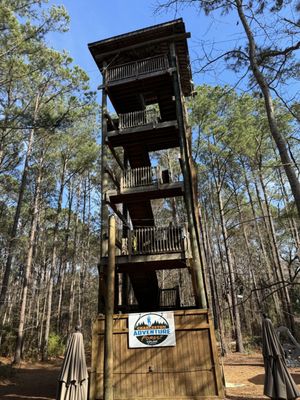 Charleston Adventure Forest by null