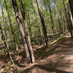 Best Walking Trails Near Me - December 2025: Find Nearby Walking Trails