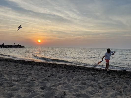 New Buffalo Beach by null