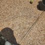Photo of Milo-Driveway Restoration Masters