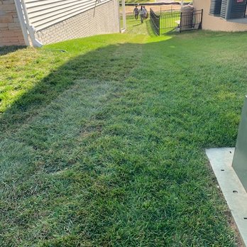 Bluegrass Landscaping & Tree Service - Grass rut fixed with sod. - Tree Services Near Me Bluegrass Landscaping & Tree Service - Grass rut fixed with sod. - Tree Services Near Me