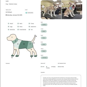 Furologist Dog Spa - You get a detailed report on the visit of your fur baby at the end! - Pet Groomers Near Me - San Jose, California
