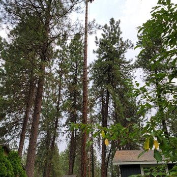 Cda Tree and Utility - Tree Services Near Me - Coeur d Alene, Idaho Cda Tree and Utility - Tree Services Near Me - Coeur d Alene, Idaho