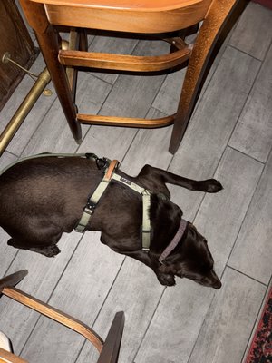 Grace & Leavitt by null