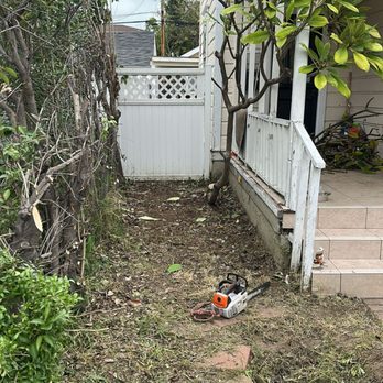 Lozada Tree Service - Tree Services Near Me Lozada Tree Service - Tree Services Near Me