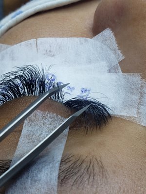 Virtue Lash by null