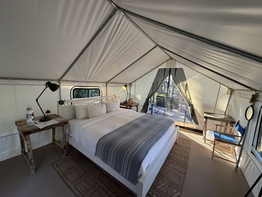 Mendocino Grove by null