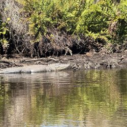 Navigator Riverboat Tours