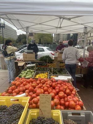 Copley Square Farmers Market by null
