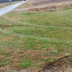 Eastern Shore Forest Products - This is some of the damage for some reason it won't allow me to put a picture of their truck and the other ones on there