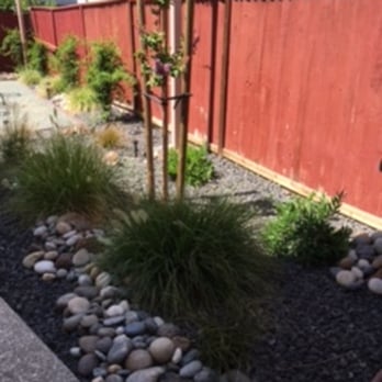 Traina Thought Landscapes - Crepe Myrtle and grasses - Landscaping Near Me Traina Thought Landscapes - Crepe Myrtle and grasses - Landscaping Near Me
