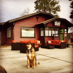 Eqwine Wine Bar - Outside is dog friendly