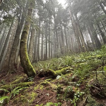 Rattlesnake Ledge Trail - Hiking Near Me