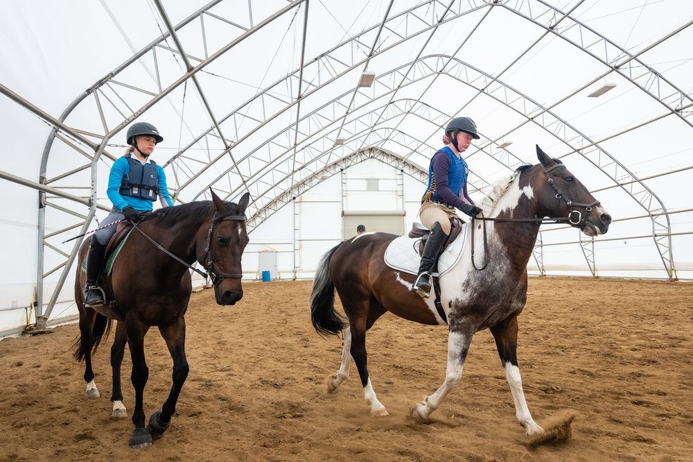 Lazy Acres Equines - equestrian in Brandon, VT