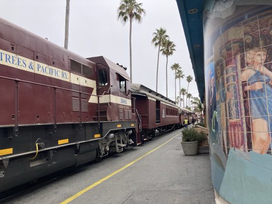 Roaring Camp by null