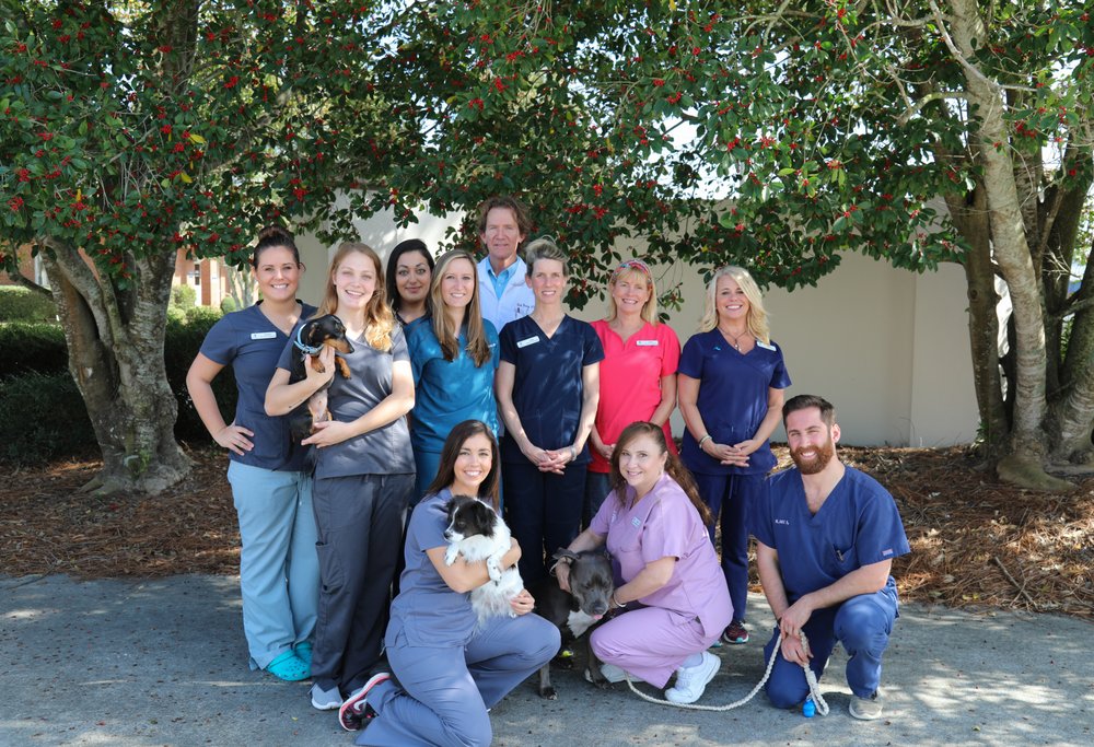 Barry Veterinary Hospital Image